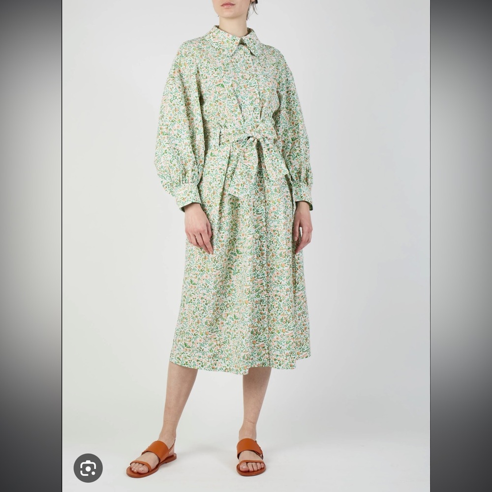 Thierry Colson Yvonne Dress in Green Floral Jaal Size Small